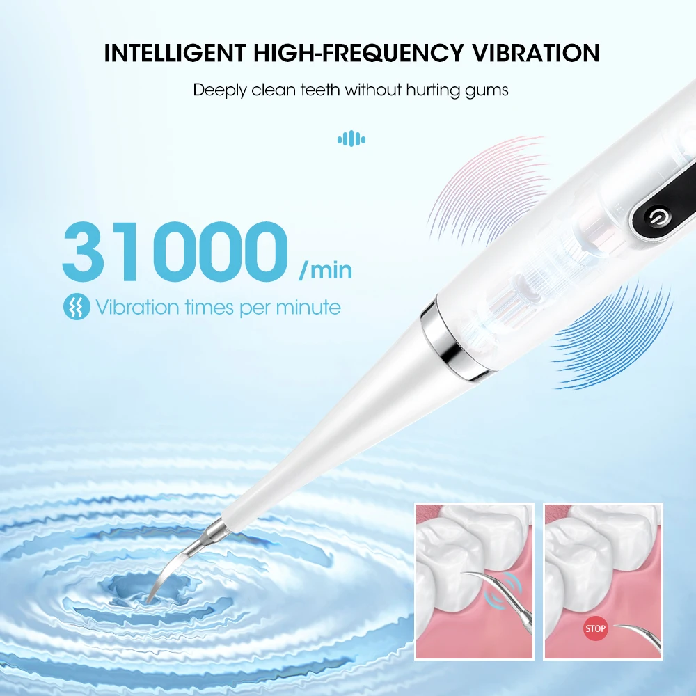 Sonic Electric Toothbrush USB Charge Rechargeable Toothbrushes Washable Electronic Whitening Adult Teeth Brush with 2 Brush-Head enlarge