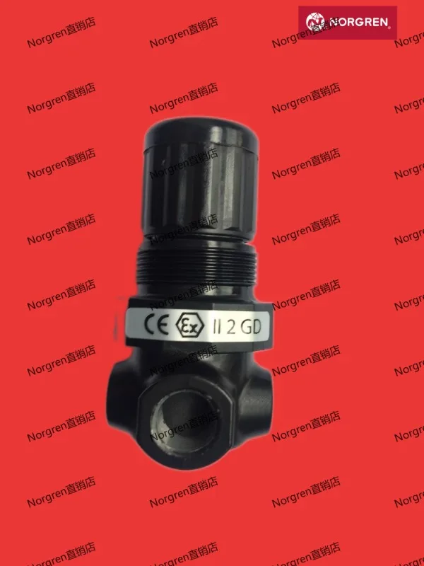 Фото Редукционный клапан серии Norgren R07: R07-1F6-RNEG, R07-1F6-RNMG №4