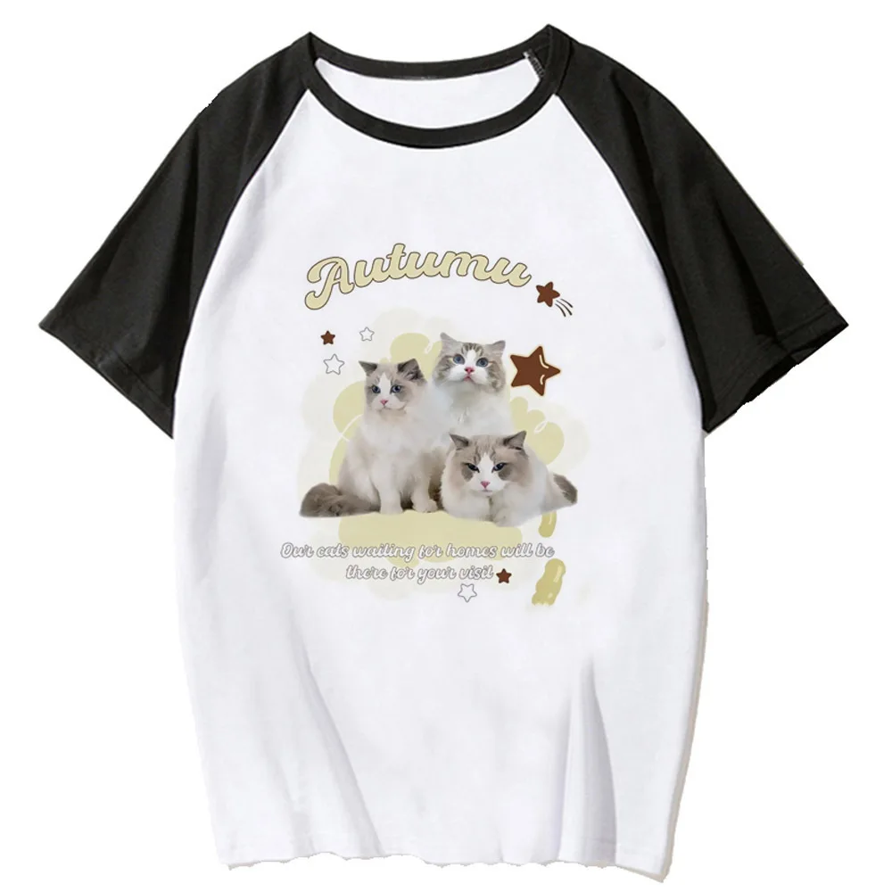 Kitten Cat Neko tshirt women Breathable Comfortable Grunge anime t-shirt 2000s Y2k Classic graphic Colorful