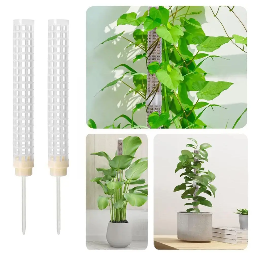 

Climbing Plant Indoor Plant Support Extension Pole Climbing Moss Tool Gardening Pillar Creepers Accessories Pole Stick Gard H3h2