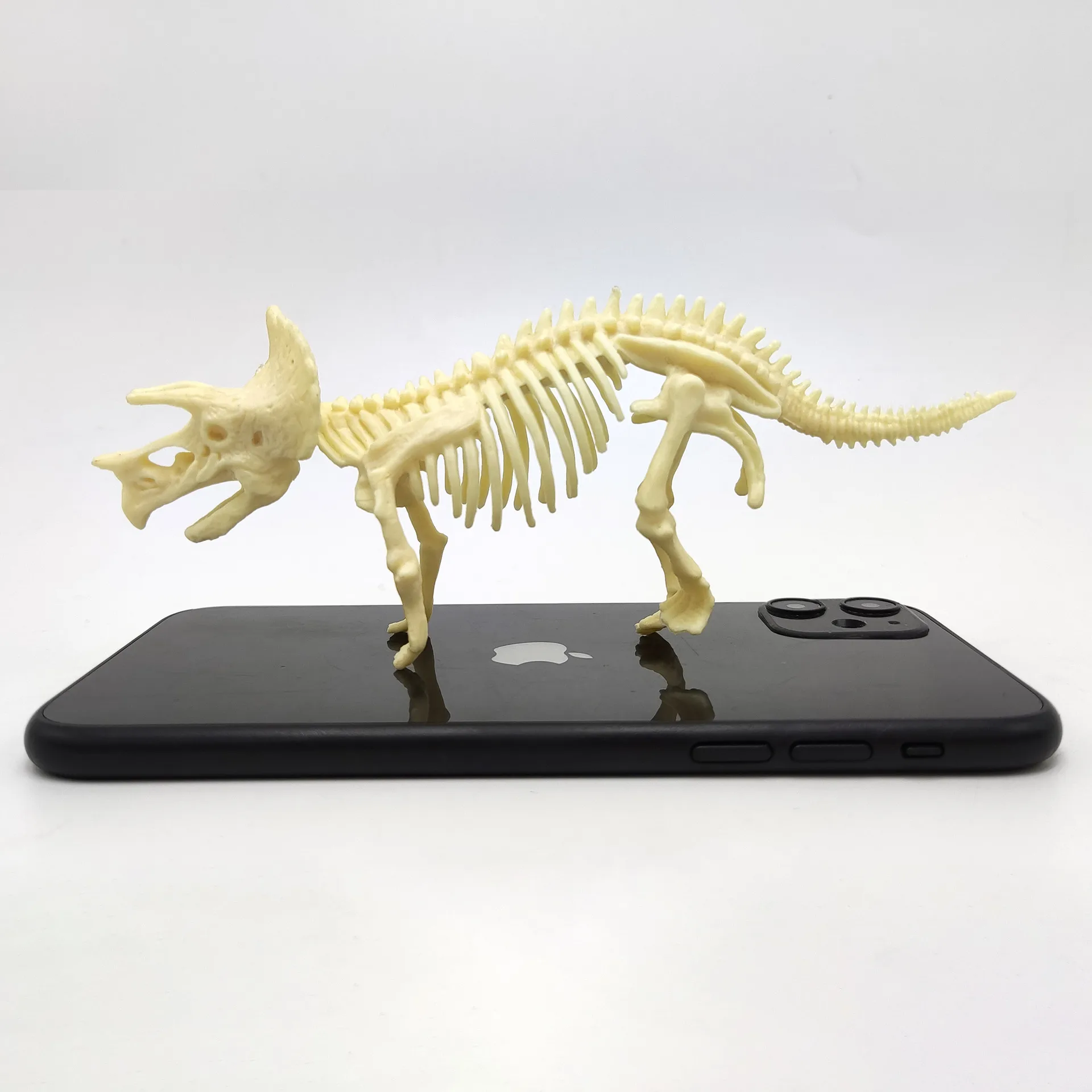 

Jurassic World/park Dinosaur Figure Toys Dinosaur Fossil Skeleton Biological Educational Toys for Children Gift Free Shipping 03