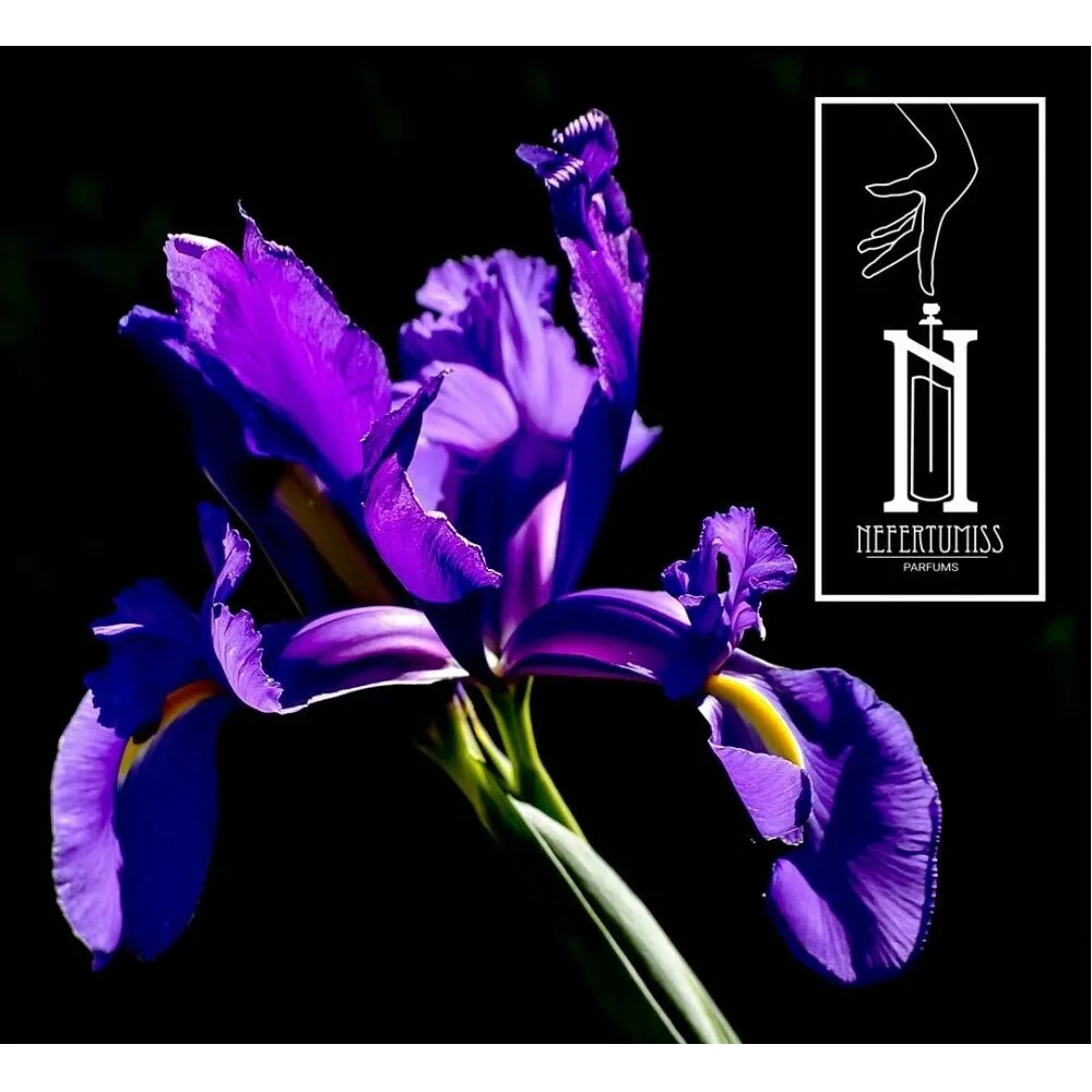 Духи Nefertumiss Pale purple IRIS парфюмерная вода 20 мл для женщин парфюм Нефертумисс Бледно