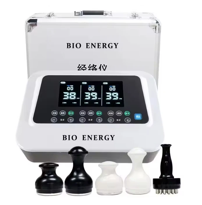 Фото Аппарат для оздоровления Vitality Value BIO Meridian: Терапия Evergreen, очищение меридианов, микротоковый импульсный прибор №1