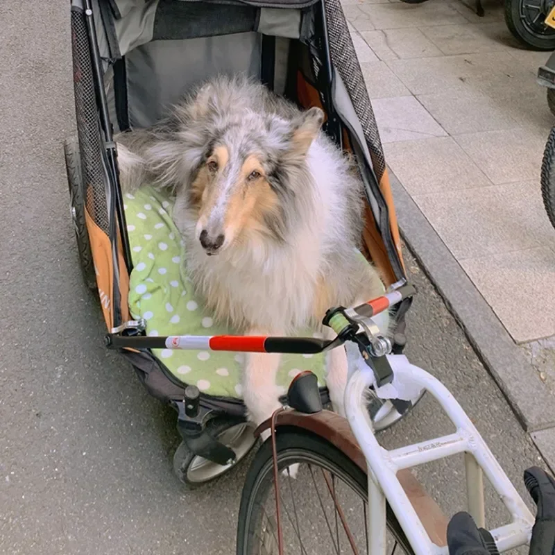 Автомобиль с фиксацией фиксатор тяги g multifonctionnelles le plus récent