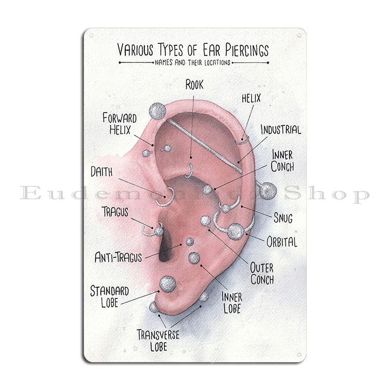 Инфографическая таблица для пирсинга ушей черно-синяя металлическая вывеска