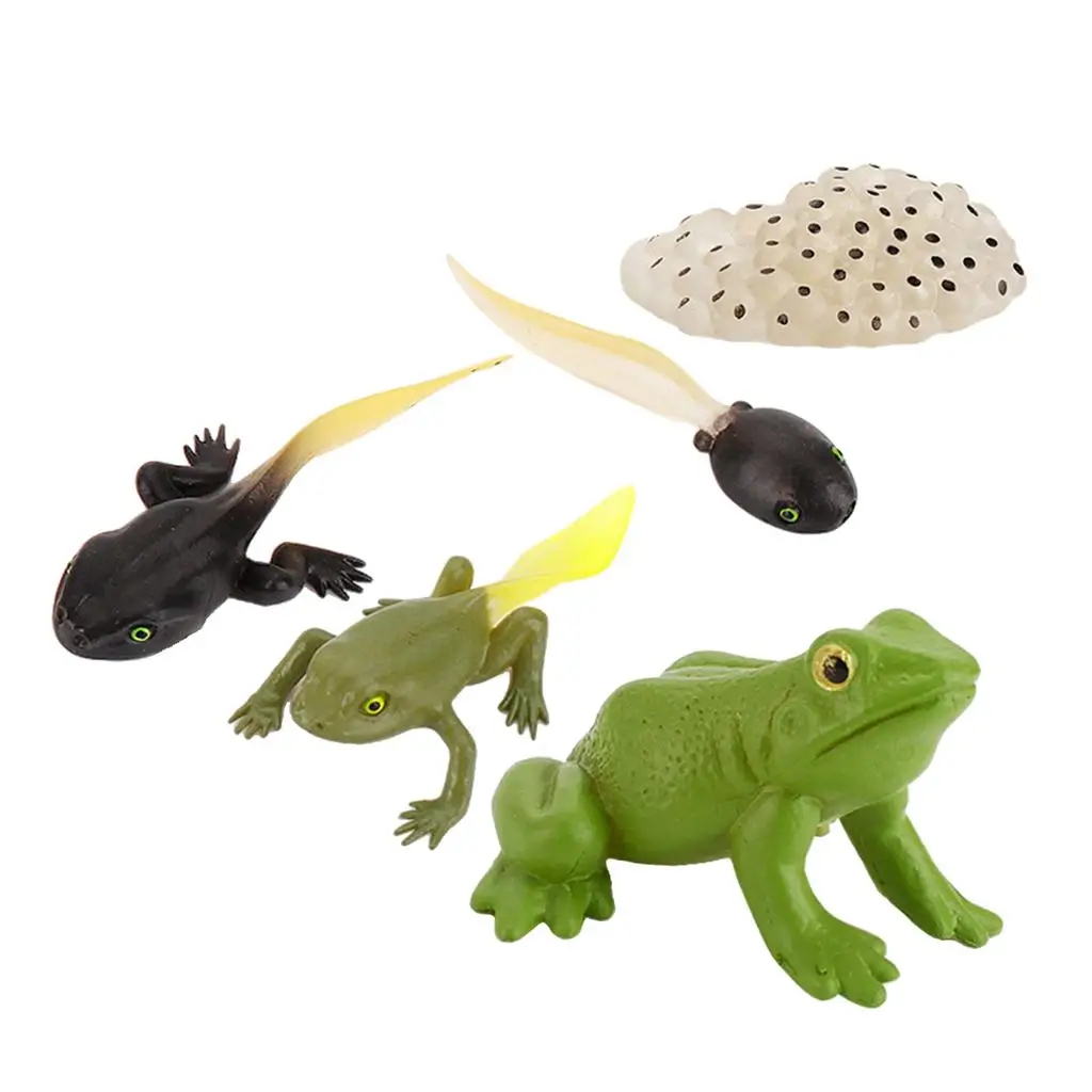 Модель цикла роста жизни животных игрушки-фигурки бабочка-лягушка модель