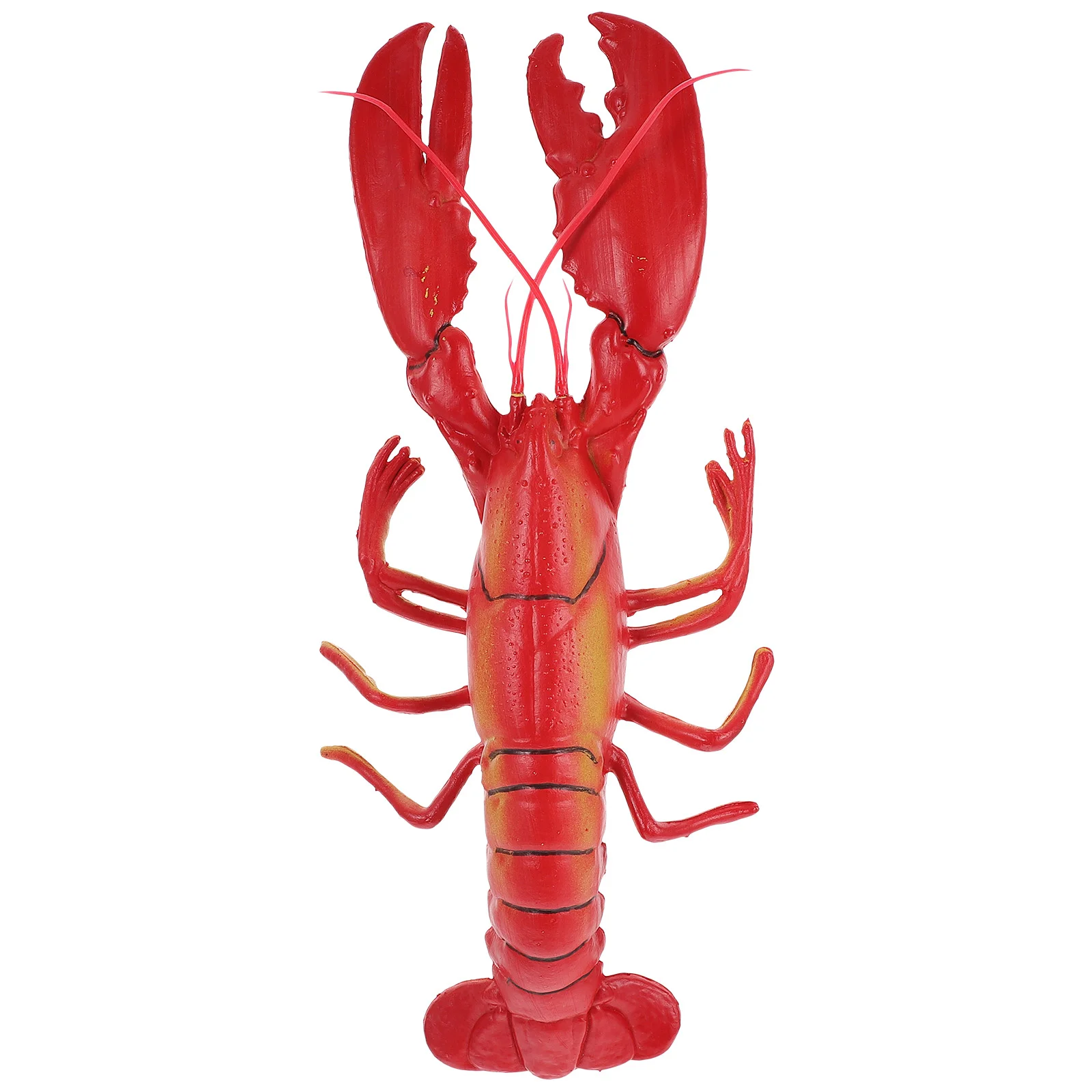 

Lifelike Lobster 20 x 8 inch Super Large Plastic Lobster Model for Home Decor Market Display Photography Prop Kids Pretend Play