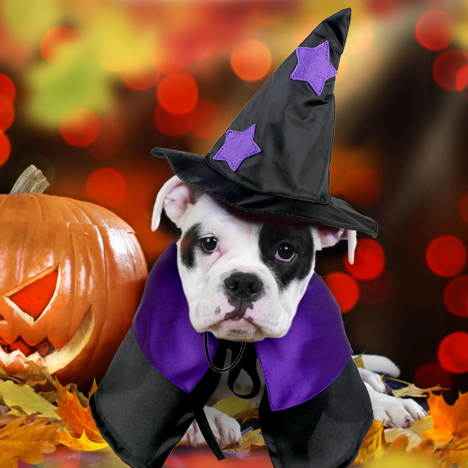 

2 шт., шляпа-тыква для домашних животных