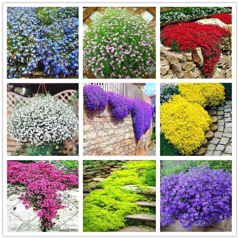 

Натуральный камень, аромат цветка, 200 шт.