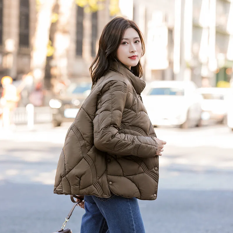 Standing Collar Cotton Down Jacket Demi-season Women's Short 2023 Autumn Female  Winter New Relaxed Casual Spring Quilted Fluffy