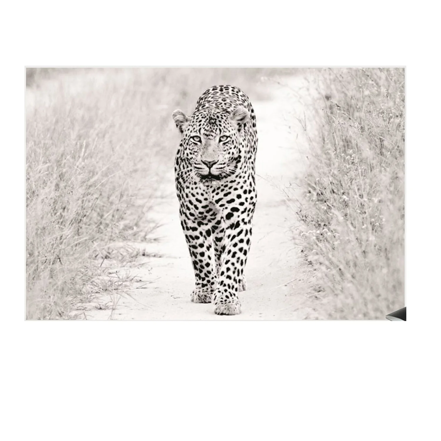 

Leopard painting hanging flag, living room decoration, interior decoration painting, 600d4 buckle 100 * 150cm