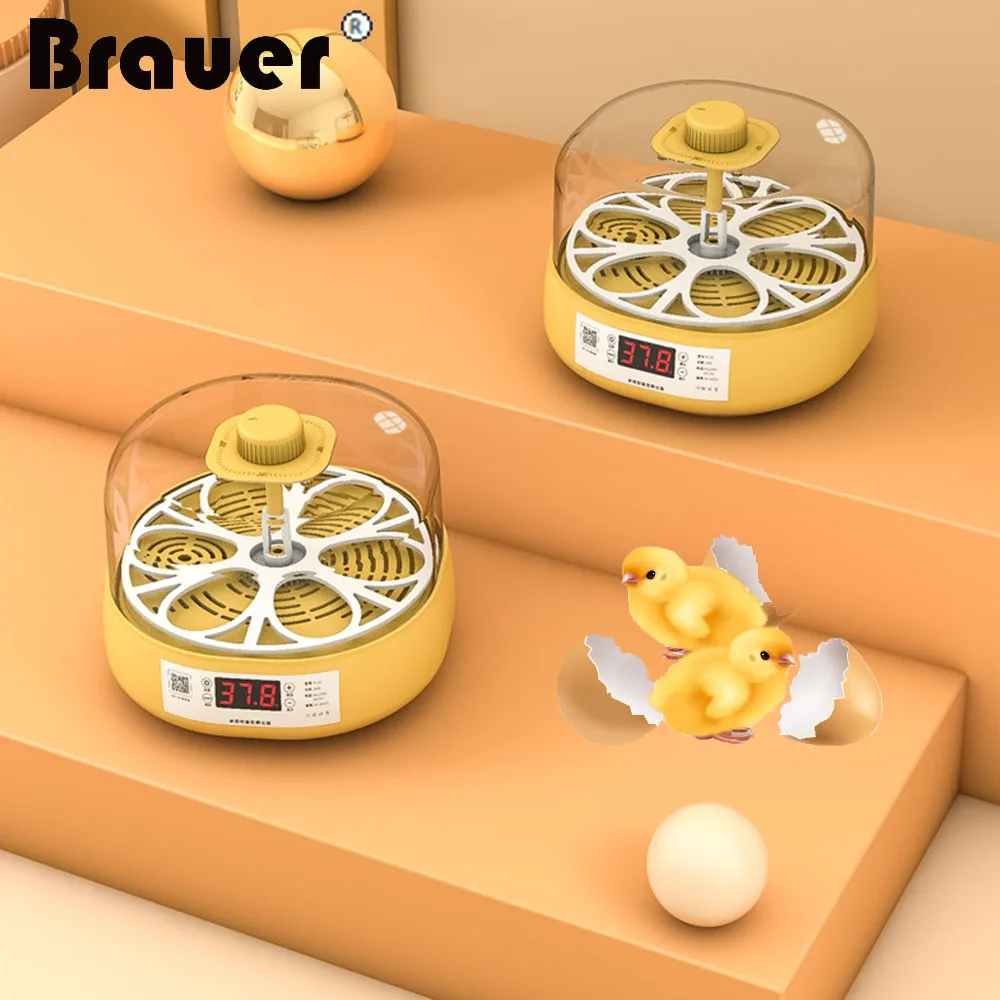 

6Eggs Chicken Bird Incubator Eggs Hatching Machine Automatic Intelligent Temperature Control Quail Parrot Brooder Farm EU/USPlug