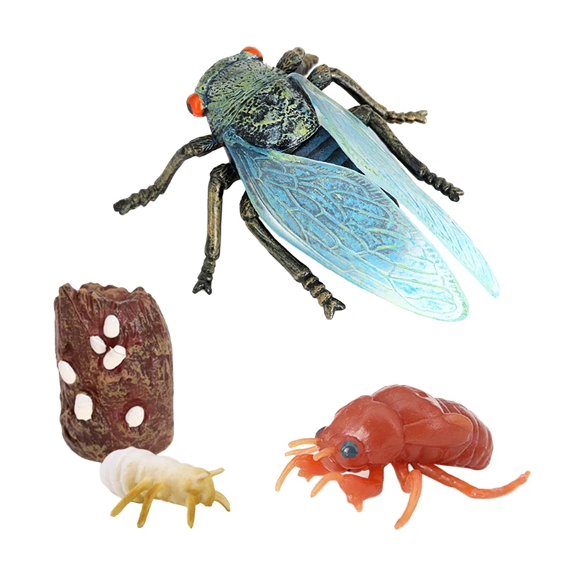 

4Pcs Cicada Toy Life Cycle Insect Growth Cycle Cicada Insect Farm Animal Growth Model Kids Cognitive Toy