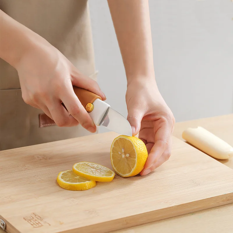 

Кухонный нож для фруктов Студенческая Овощечистка и Овощечистка для общежития, бытовая портативная многофункциональная Овощечистка для двух Ln One, 1 шт.