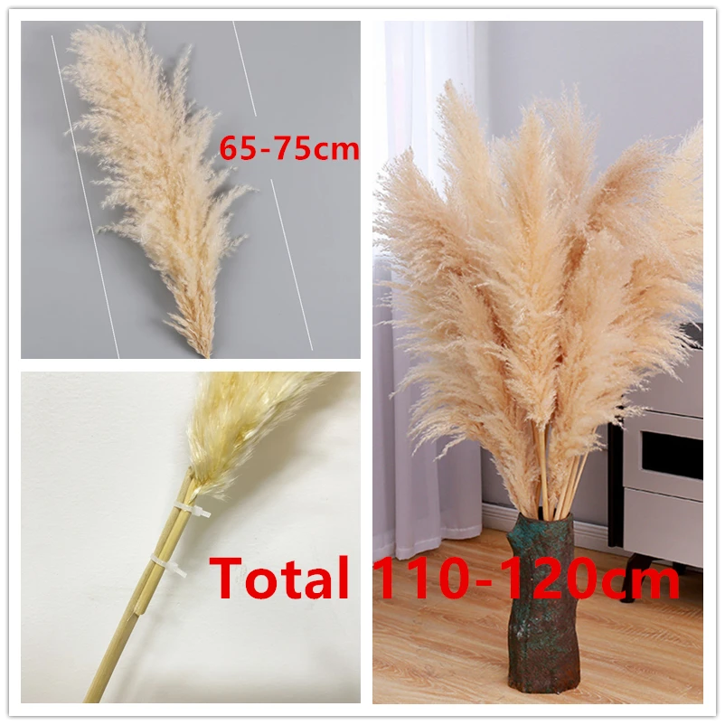 

80-120cm Pampas Grass Wedding Backdrop Home Decor Large Size Natural Dried Flower Bouquet Tall Fluffy Stems Living Room Decor