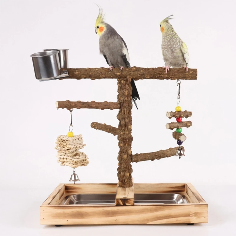 

Bird Training Toy Climbing Swing Gym Toy with Food Cups for Parakeets Cockatiel
