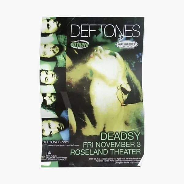 Дефтонес Шoегейз Ню Мeтал плакат на холсте