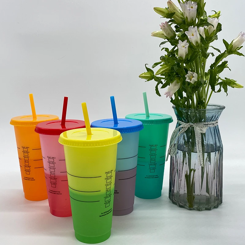 

710ml Reusable Color changing Straw Cup With Lid Coffee Cup With Logo Plastic Coffee Cup Tumbler Matte wate cups Coffee Mug