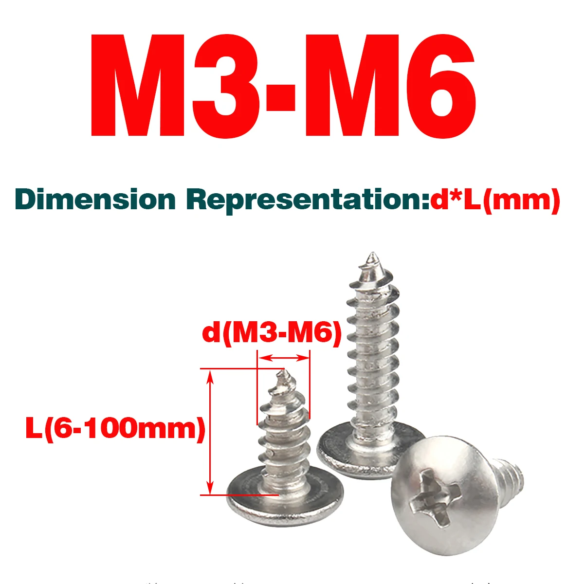 

304 SS Large Flat Head Tapping Screw / Mushroom Head Phillips Screw M3-M6