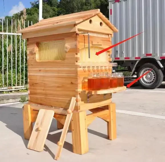 Полный набор 7 шт. пчелиный улей медовый струящаяся рамка с китайской ели коробка