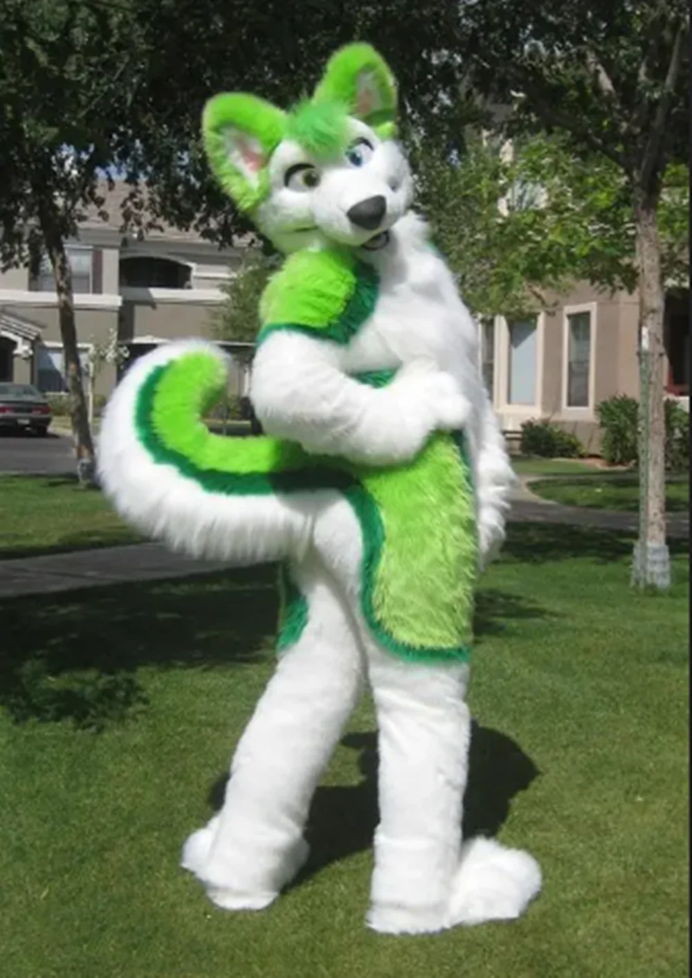 

Green Long Fur Husky Dog Fox Wolf Fursuit Mascot Costume Halloween Xmas Cartoon Character Cosplay Dress Parade Suits Handmade
