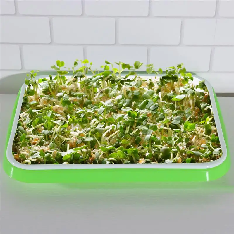 

3pcs Tray Sprouter Sprouting Kit Bean Growth Germination Trays Wheatgrass Microgreens Growing Sprout Grower Container Mung