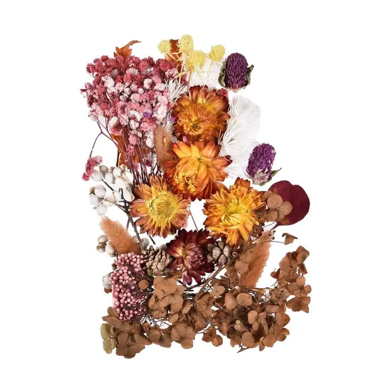 

Dried Pressed Flowers Dried Flowers DIY UV Resin Fillers Natural Flower Stickers Dry Beauty Decal For DIY Candles Dropshipping