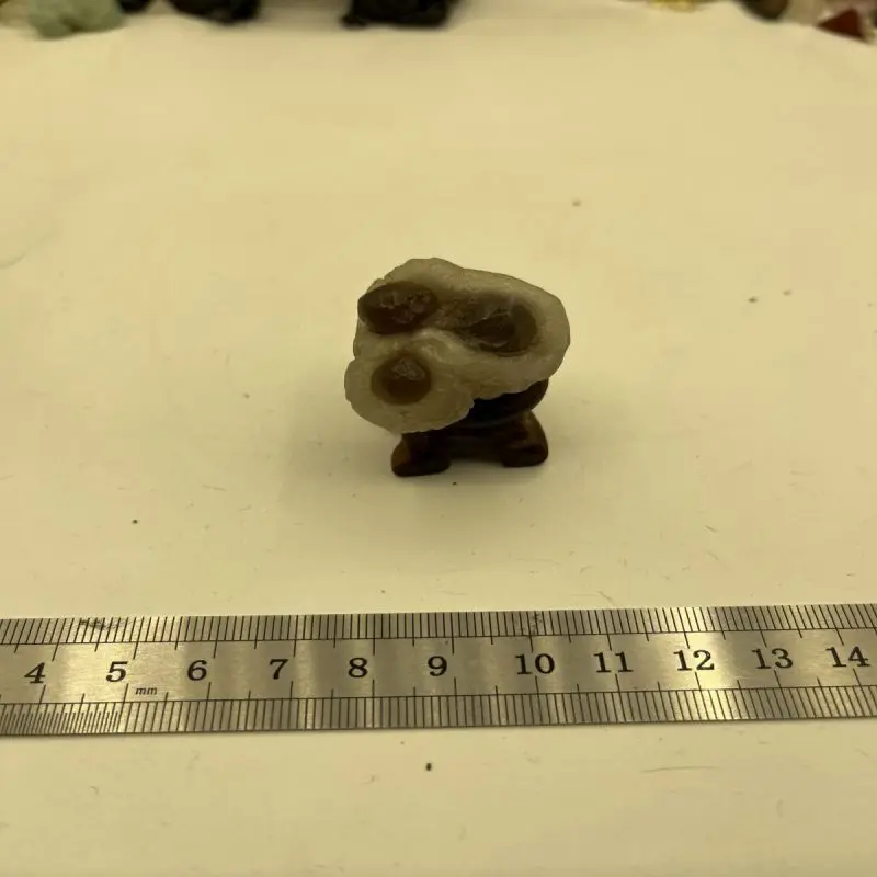 1Pcs Natural Crystal Agate Panda Agate Extremely Precious Rare Raw Stone As Cute As The Head Of A Puppy Dog Three Eyes Agate