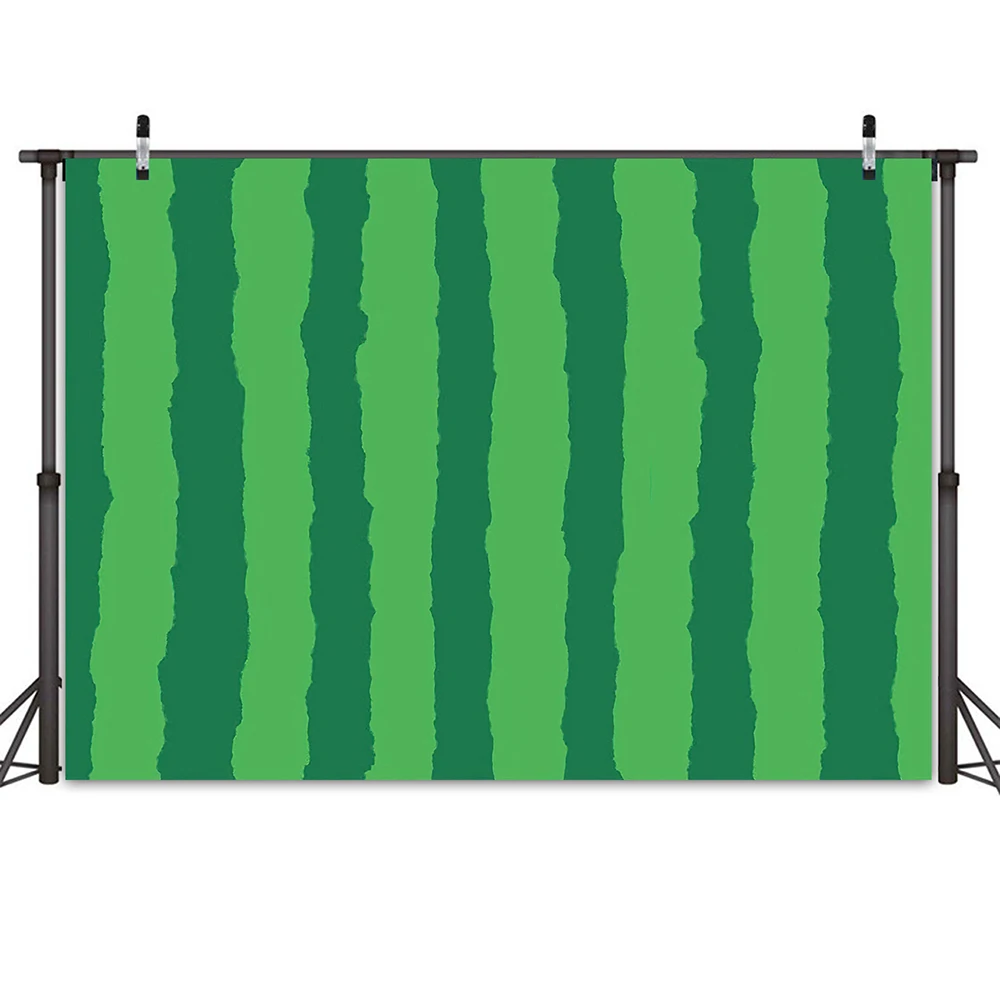 

Фон для фотографирования с изображением арбуза и кожуры на первый день рождения, баннер с изображением арбуза на первый день рождения, 7x5 фу...