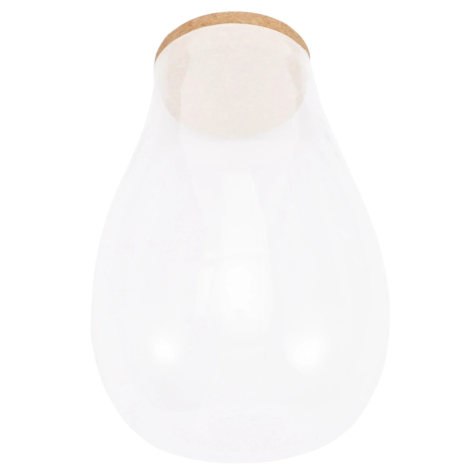 

Микро экологический ландшафт бутылка террариумные растения гидропонный суккулент, контейнер для рыбы, декоративный кактус