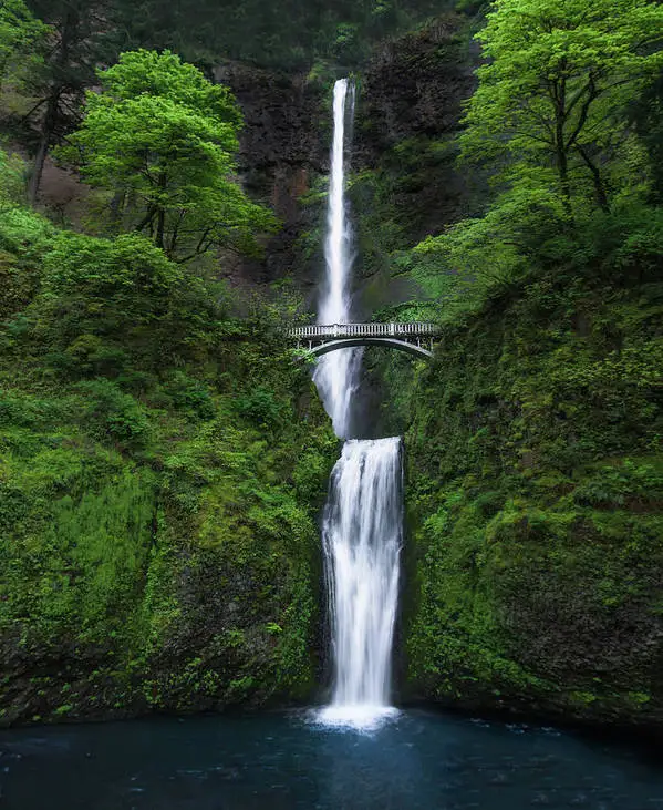 

Плакат Mystic Falls, печать на холсте, семейная комната, бар, кафе, художественные декорации