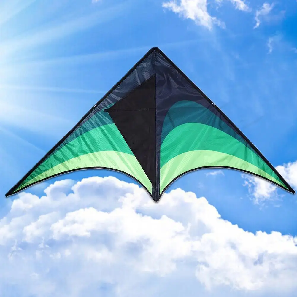 

High Quality Large Delta Kites With Handle Line Outdoor Toys For Kids Kites Nylon Ripstop Albatross Outdoor Flying Kites W8O0