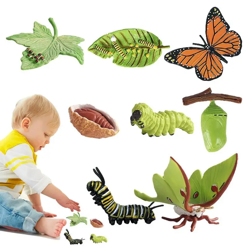 

Animal Life Cycle Toys 8PCS Caterpillar To Butterfly Kit Biological Model Of Life Cycle Of A Butterfly Farm Animal Growth Model