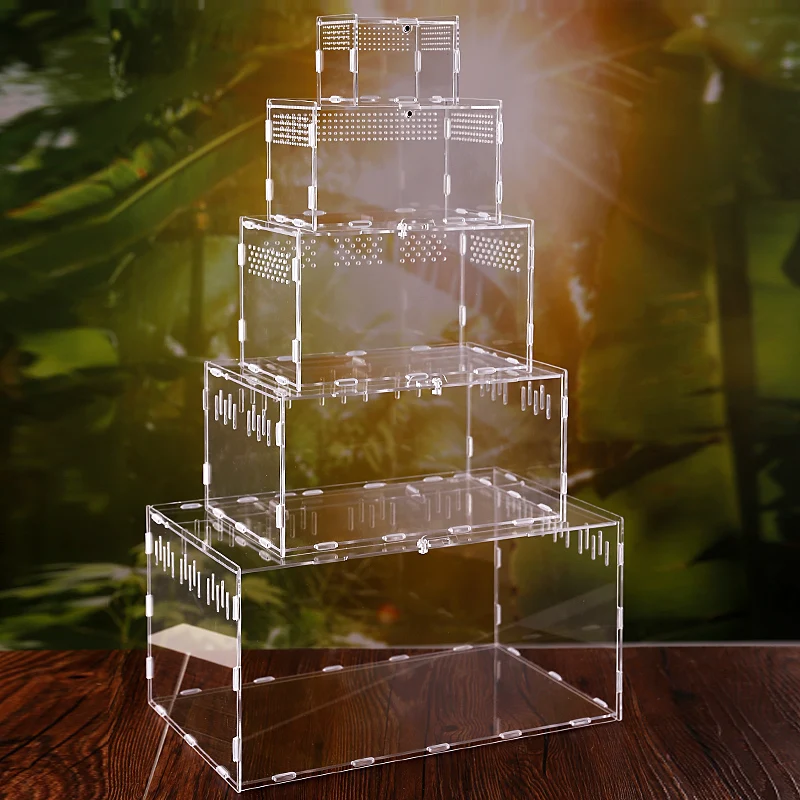 Animal and Plant Feeding Box Exhibition Reptile Habitat-Insect Acrylic Breeding Case |