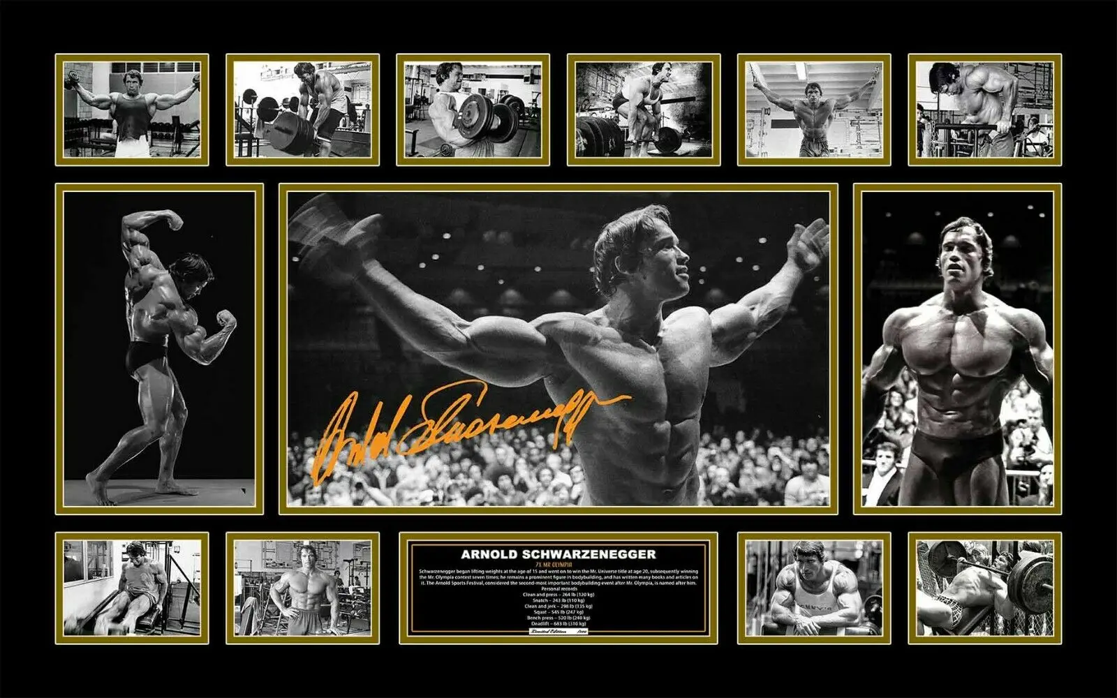 ARNOLD SCHWARZENEGGER BODY BUILDING Album Signature Poster Print Memento Art Silk Poster Wall Art Home Decorative Painting