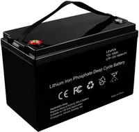 lifepo4 12v 100ah battery pack