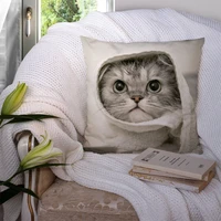 custom cute cat pillowcase polyester linen velvet printed zip decor pillow case car 22119 57