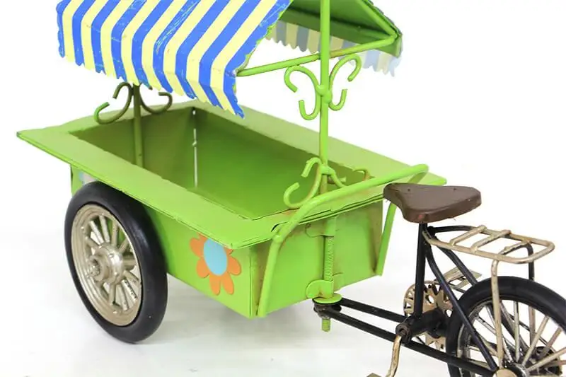 

Decorative Metal Tricycle Flower Car Trinket Hediyelik
