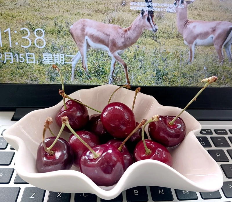 Керамические украшения в скандинавском стиле подносы для хранения еды 6 дюймов