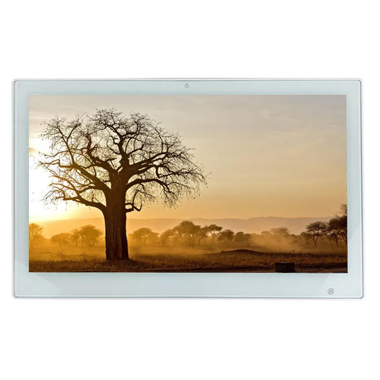 

15.6 inch advertising digital photo frames with USB