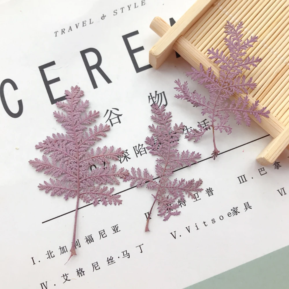 Artemisia Annua тисненые листья материалы для домашней фотосъемки DIY тиснение живопись