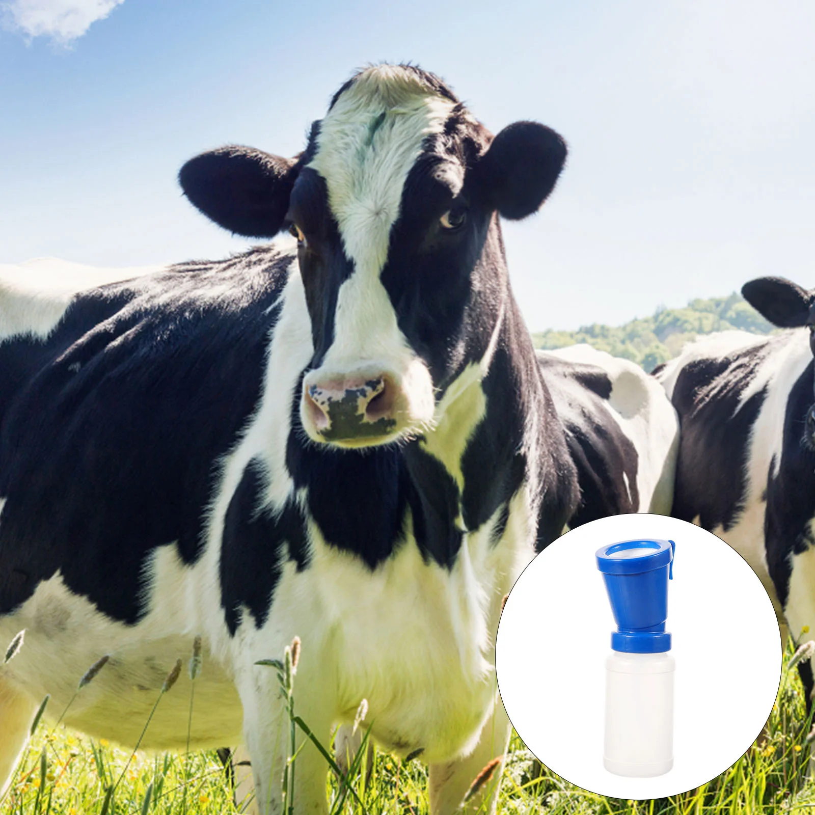 

Veterinary Instrument Cow Supplies Milking Machine Non-reflow Medicine Bath Cups Farm Animal Tool