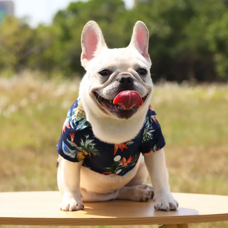 

Universal Beach Pineapple Pet Shirt Hawaiian Cat Supplies Polyester Fiber Pet Clothing Puppy Designer Dog Clothes 2-80 Jin 2022