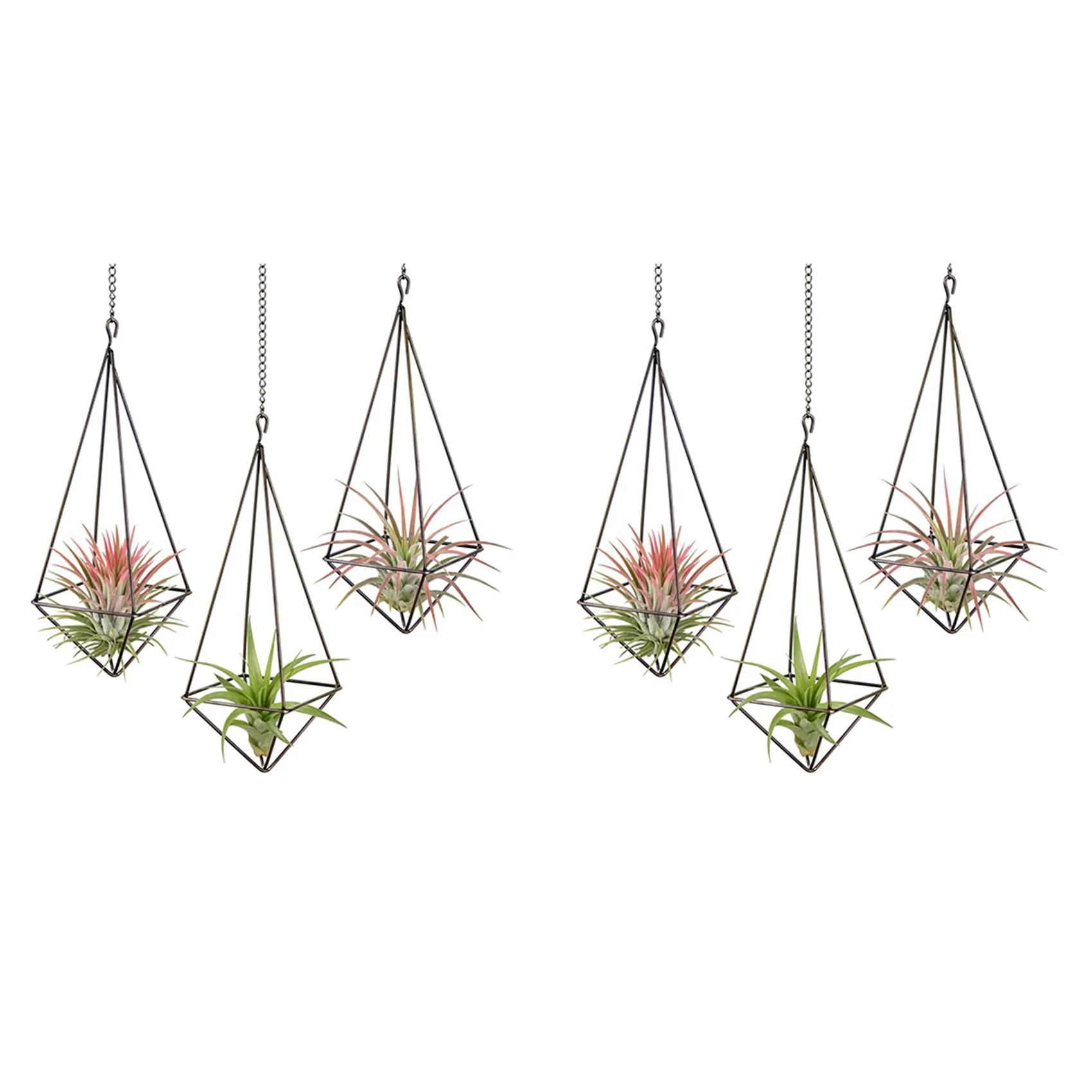

6 Pack Hanging Air Plant Holder Geometric Planter Air Plant Rack Tillandsia Hanger with Chain for Home Decor