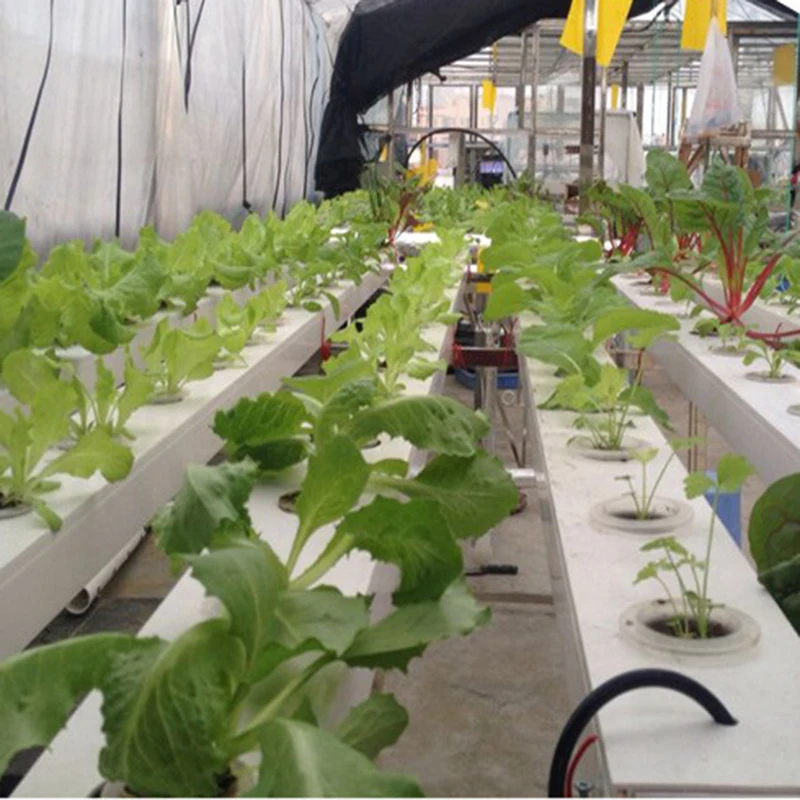 Гидропонный Набор для выращивания растений на 108 площадей система листовых