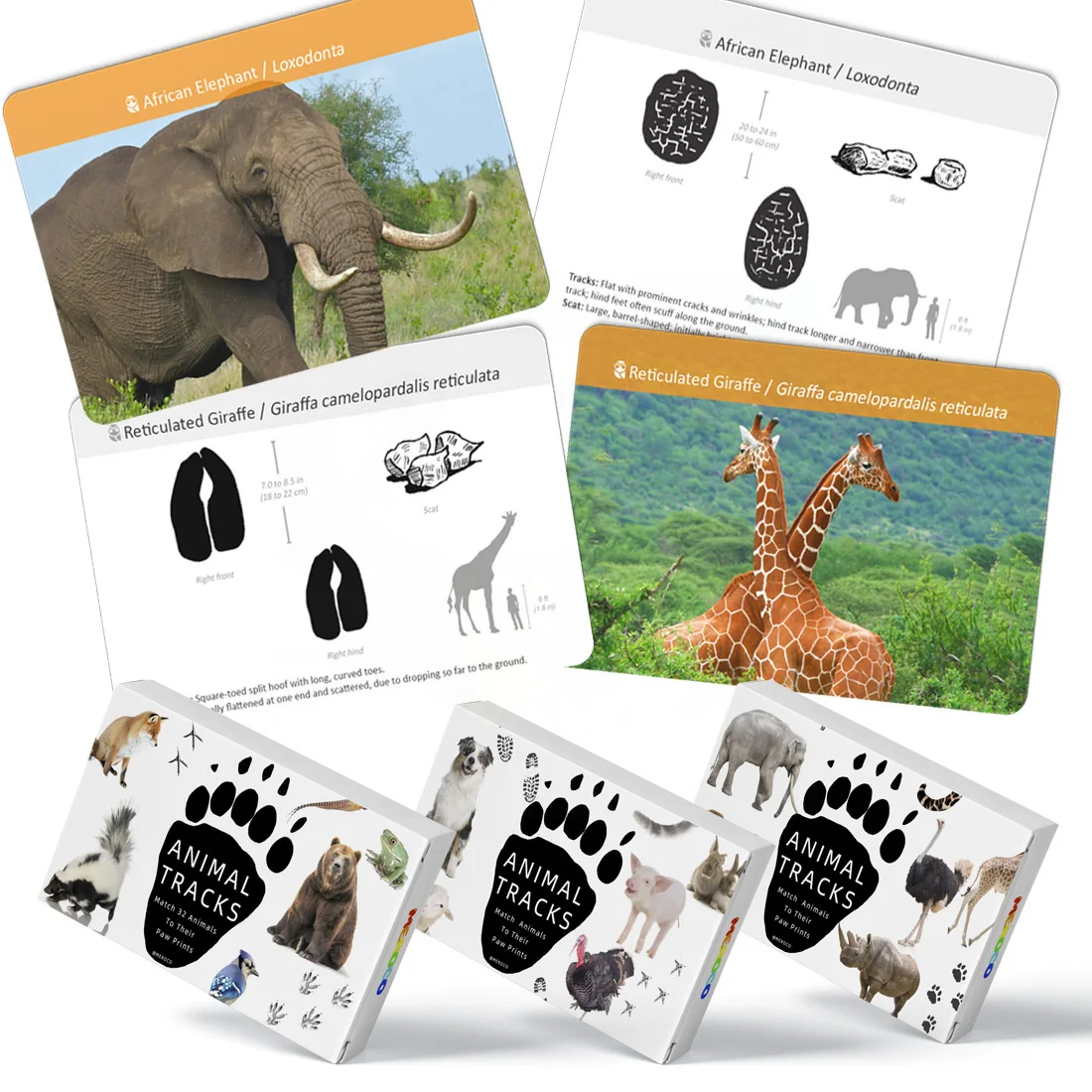 

Montessori Materials Language Material Footprint Cards Toys For Kids 2 To 4 Years Old Teaching Aid Toys For Children D65Y