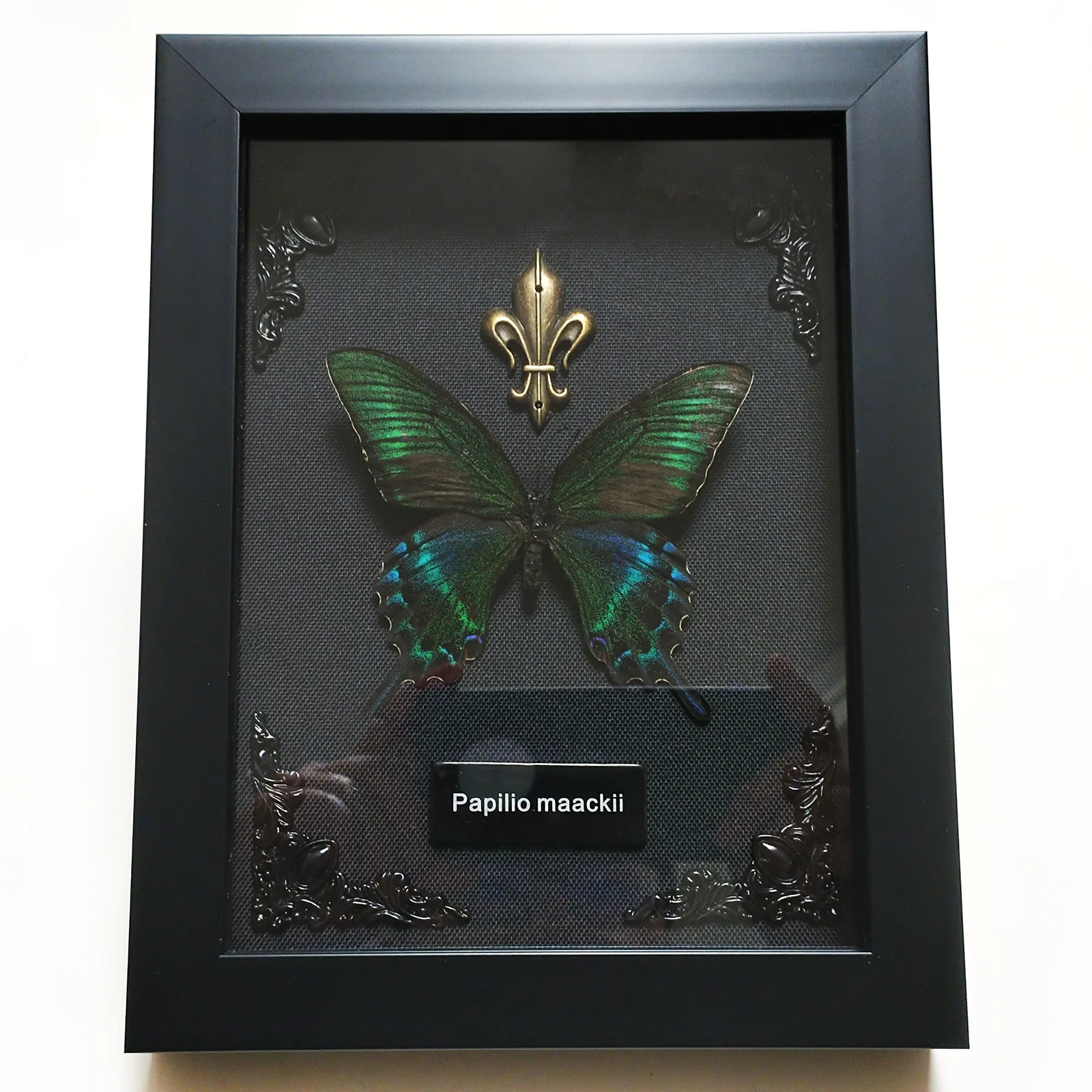 

Рамка с бабочкой ORIGIFTS