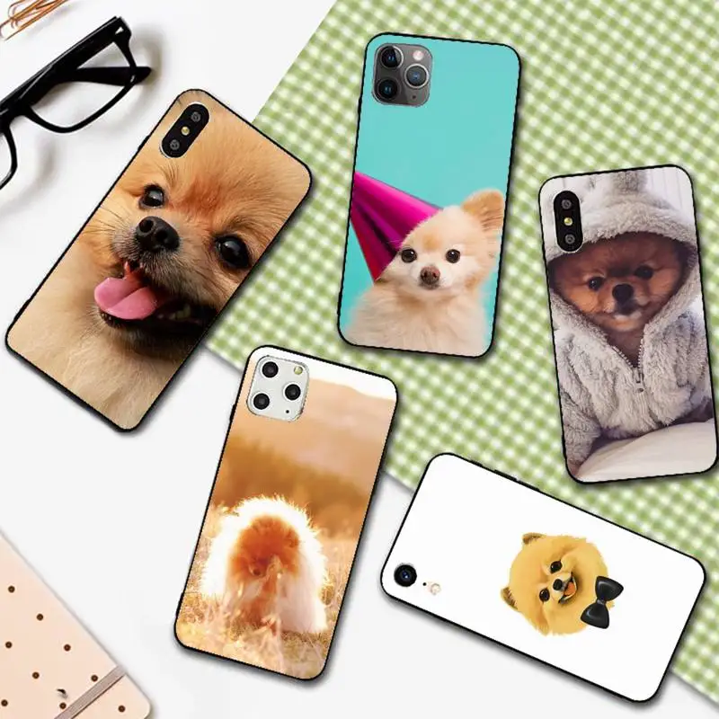 

Pomeranian Dogs Dog Phone Case For Iphone 11 12 13 Pro Max 5s 6s 7 8 Plus X Xr Xs Max Se 2020 13 Mini Case Cover