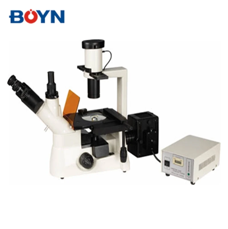 Цифровой Тринокулярный флуоресцентный микроскоп с флуоресцентным дисплеем