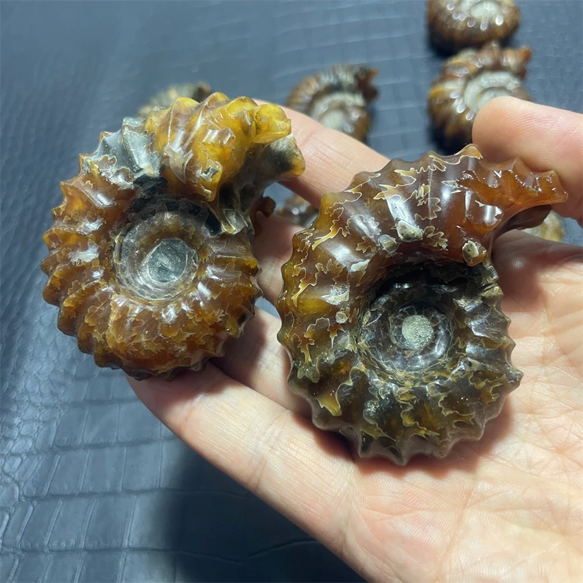 Натуральный кристаллический камень из козьего рога образец лечебных камней